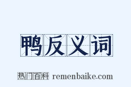 鸭反义词是什么意思的图片